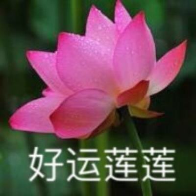 【境内疫情观察】陕西新增174例本土病例（12月31日）